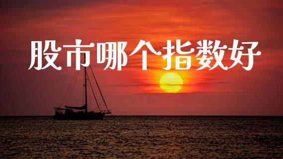 股市哪个指数好_https://m.fansifence.com_个股行情_第1张