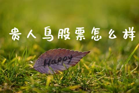 贵人鸟股票怎么样_https://m.fansifence.com_公募基金_第1张