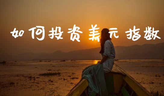 如何投资美元指数_https://m.fansifence.com_公募基金_第1张