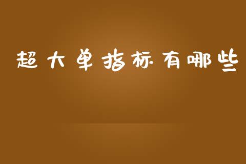 超大单指标有哪些_https://m.fansifence.com_公募基金_第1张