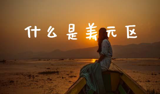 什么是美元区_https://m.fansifence.com_贵金属行情_第1张
