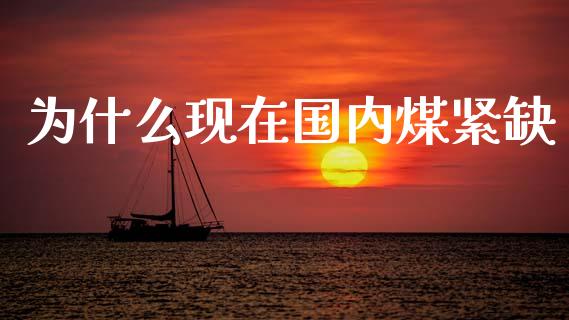 为什么现在国内煤紧缺_https://m.fansifence.com_公募基金_第1张