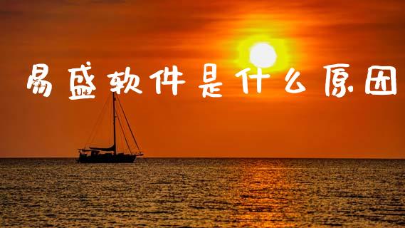 易盛软件是什么原因_https://m.fansifence.com_消费金融_第1张