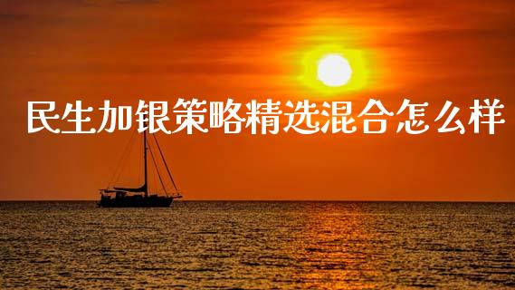民生加银策略精选混合怎么样_https://m.fansifence.com_贵金属行情_第1张
