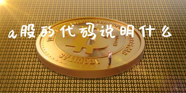 a股的代码说明什么_https://m.fansifence.com_公募基金_第1张