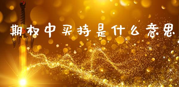 期权中买持是什么意思_https://m.fansifence.com_贵金属行情_第1张