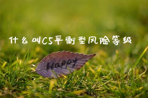 什么叫C5平衡型风险等级_https://m.fansifence.com_消费金融_第1张