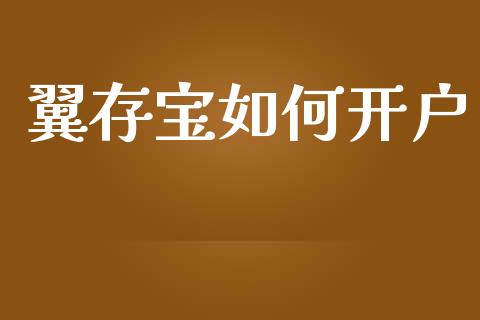 翼存宝如何开户_https://m.fansifence.com_个股行情_第1张