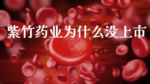 紫竹药业为什么没上市_https://m.fansifence.com_公募基金_第1张