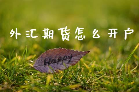 外汇期货怎么开户_https://m.fansifence.com_公募基金_第1张