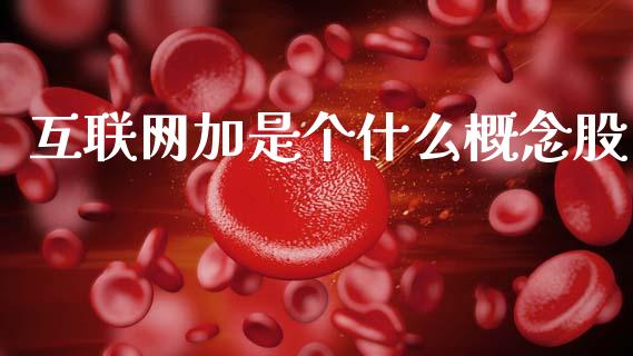 互联网加是个什么概念股_https://m.fansifence.com_公募基金_第1张