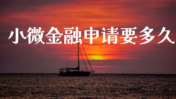 小微金融申请要多久_https://m.fansifence.com_公募基金_第1张