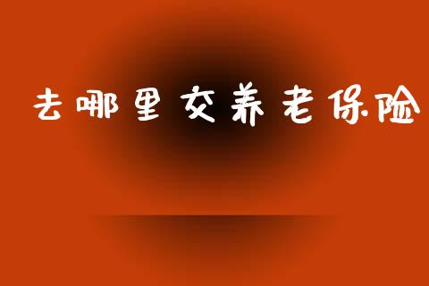 去哪里交养老保险_https://m.fansifence.com_公募基金_第1张