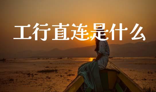 工行直连是什么_https://m.fansifence.com_公募基金_第1张