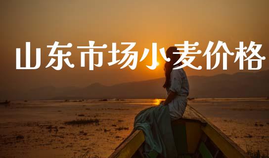 山东市场小麦价格_https://m.fansifence.com_消费金融_第1张