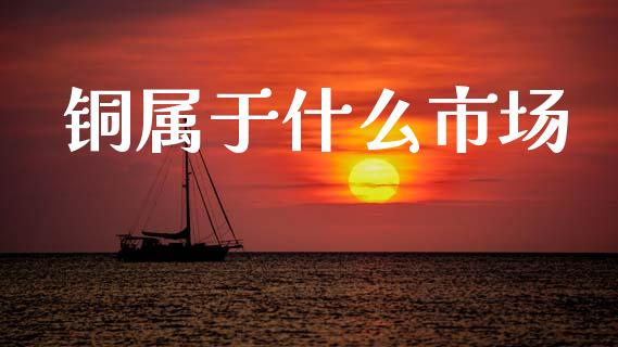 铜属于什么市场_https://m.fansifence.com_个股行情_第1张