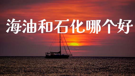 海油和石化哪个好_https://m.fansifence.com_公募基金_第1张