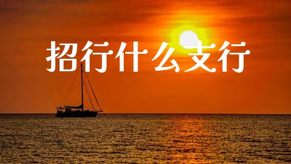 招行什么支行_https://m.fansifence.com_贵金属行情_第1张