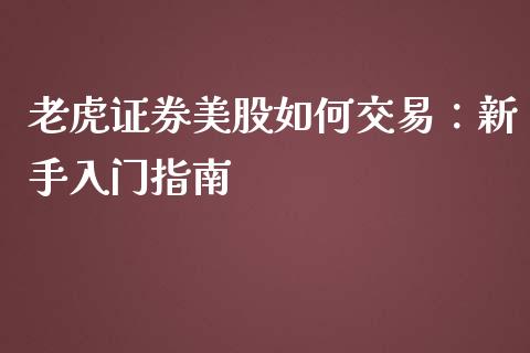老虎证券美股如何交易：新手入门指南_https://m.fansifence.com_个股行情_第1张