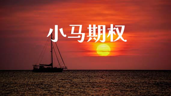 小马期权_https://m.fansifence.com_公募基金_第1张