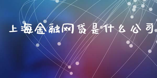 上海金融网贷是什么公司_https://m.fansifence.com_消费金融_第1张