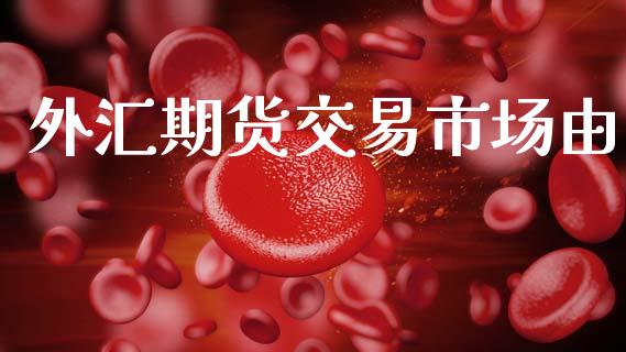 外汇期货交易市场由_https://m.fansifence.com_公募基金_第1张