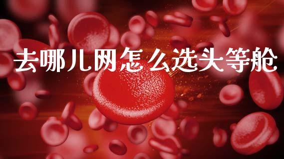 去哪儿网怎么选头等舱_https://m.fansifence.com_个股行情_第1张