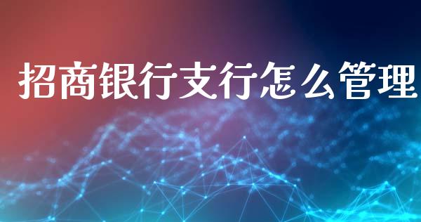 招商银行支行怎么管理_https://m.fansifence.com_公募基金_第1张