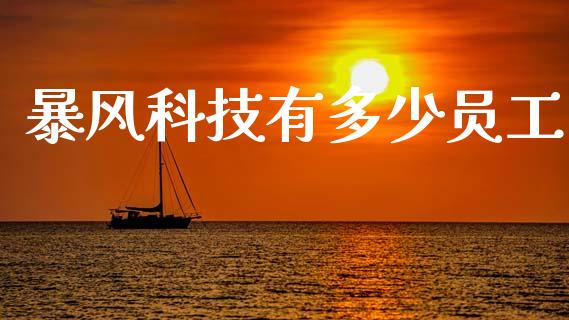 暴风科技有多少员工_https://m.fansifence.com_个股行情_第1张