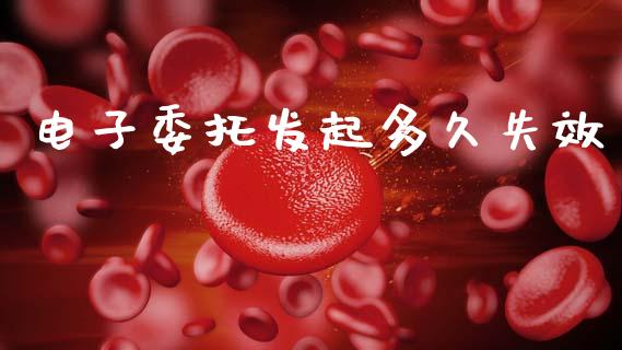 电子委托发起多久失效_https://m.fansifence.com_公募基金_第1张
