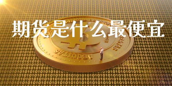 期货是什么最便宜_https://m.fansifence.com_个股行情_第1张