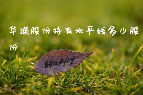 华联股份持有地平线多少股份_https://m.fansifence.com_贵金属行情_第1张