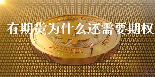 有期货为什么还需要期权_https://m.fansifence.com_公募基金_第1张