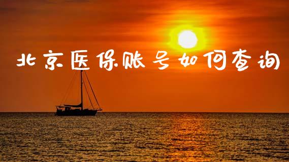 北京医保账号如何查询_https://m.fansifence.com_公募基金_第1张