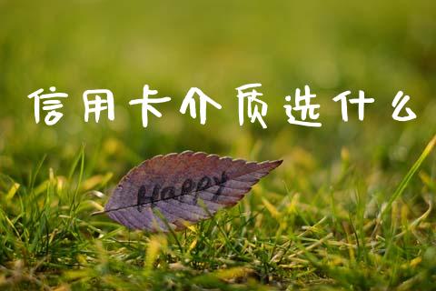信用卡介质选什么_https://m.fansifence.com_公募基金_第1张