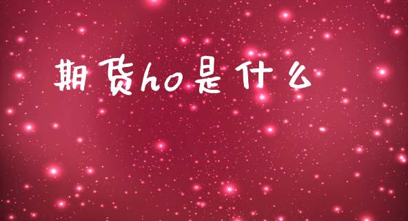 期货ho是什么_https://m.fansifence.com_消费金融_第1张
