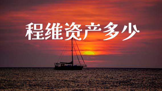 程维资产多少_https://m.fansifence.com_个股行情_第1张