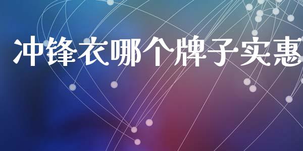 冲锋衣哪个牌子实惠_https://m.fansifence.com_消费金融_第1张