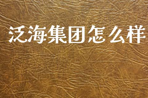 泛海集团怎么样_https://m.fansifence.com_公募基金_第1张