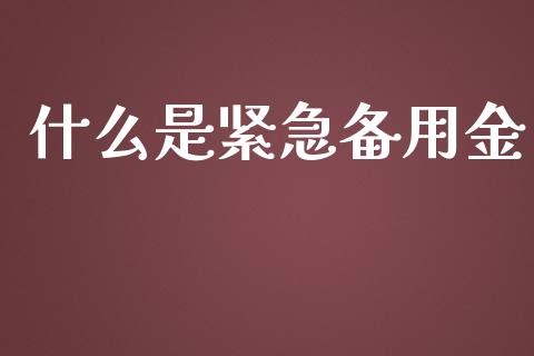 什么是紧急备用金_https://m.fansifence.com_贵金属行情_第1张