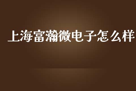 上海富瀚微电子怎么样_https://m.fansifence.com_公募基金_第1张