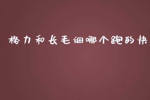 格力和长毛细哪个跑的快_https://m.fansifence.com_贵金属行情_第1张