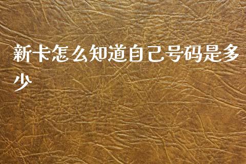 新卡怎么知道自己号码是多少_https://m.fansifence.com_公募基金_第1张