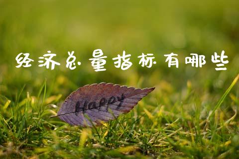 经济总量指标有哪些_https://m.fansifence.com_消费金融_第1张