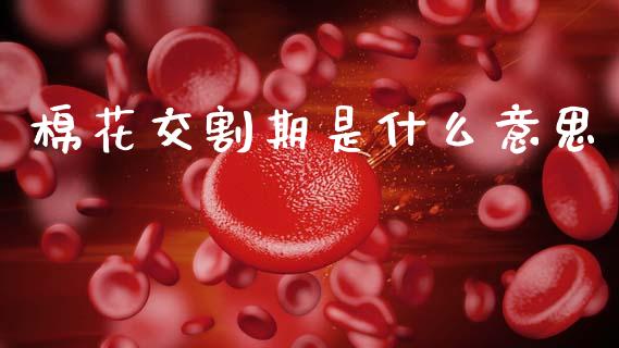 棉花交割期是什么意思_https://m.fansifence.com_个股行情_第1张
