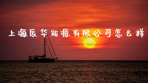 上海辰华能源有限公司怎么样_https://m.fansifence.com_消费金融_第1张