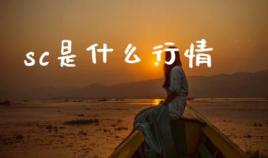 sc是什么行情_https://m.fansifence.com_消费金融_第1张