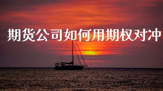 期货公司如何用期权对冲_https://m.fansifence.com_公募基金_第1张