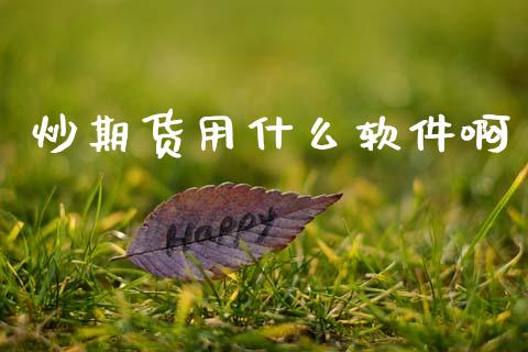 炒期货用什么软件啊_https://m.fansifence.com_公募基金_第1张