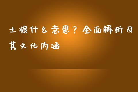 土根什么意思？全面解析及其文化内涵_https://m.fansifence.com_公募基金_第1张